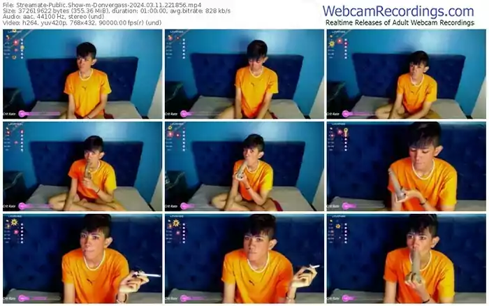 streamate-donvergass-03-11-2024-22-18-56