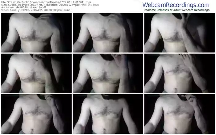 streamate-viciousdeville-03-11-2024-01-00-11