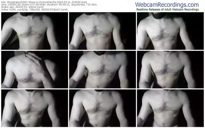 streamate-viciousdeville-03-11-2024-21-09-30