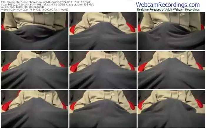 streamate-youngnhung993-03-11-2024-05-21-13