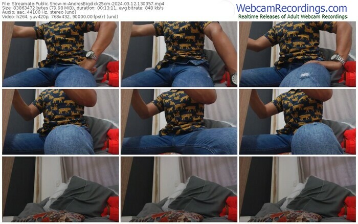 streamate-andresbigdick25cm-03-12-2024-13-03-57