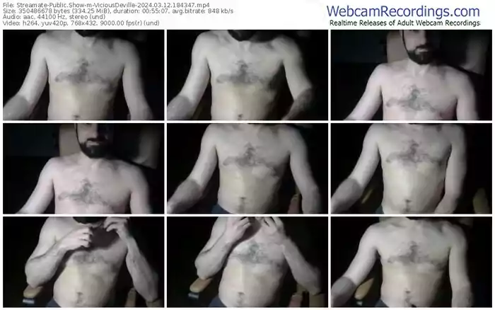 streamate-viciousdeville-03-12-2024-18-43-47