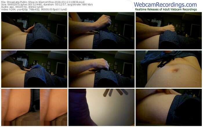 streamate-warriorofice-03-12-2024-11-08-39