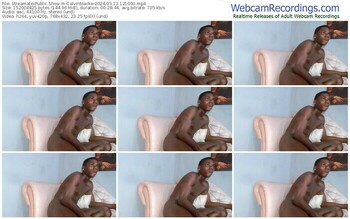 streamate-calvinblacke-03-13-2024-12-10-00