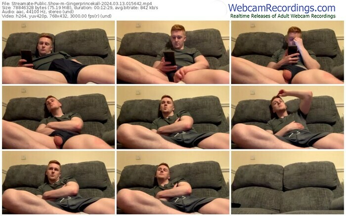 streamate-gingerprincekall-03-13-2024-01-56-42