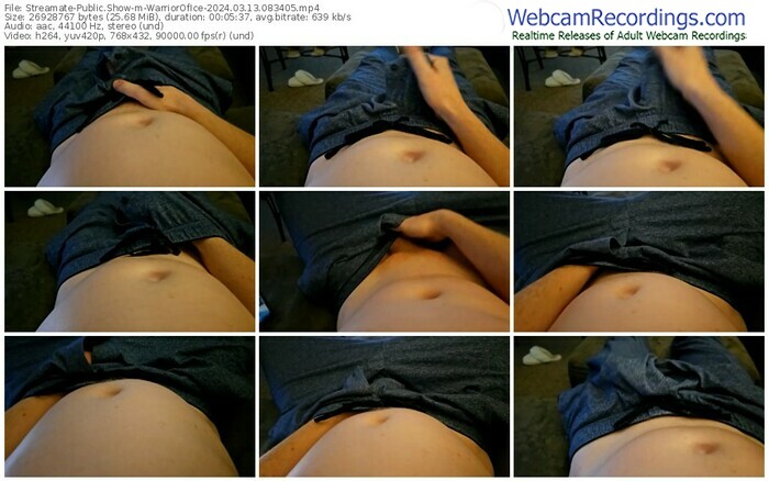 streamate-warriorofice-03-13-2024-08-34-05