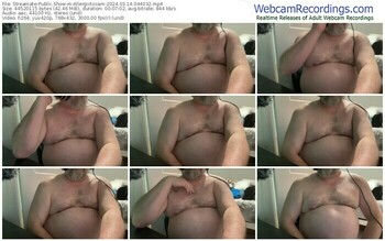 streamate-allergictocam-03-14-2024-04-40-32