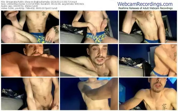 streamate-bigboybarnaby-03-14-2024-03-17-14