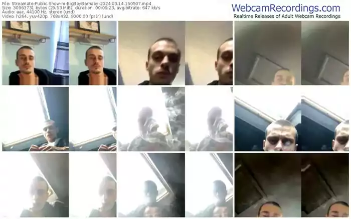 streamate-bigboybarnaby-03-14-2024-15-05-07