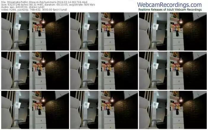 streamate-roysummers-03-14-2024-00-17-18