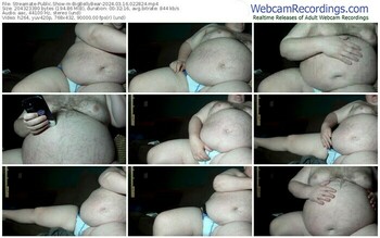 streamate-bigbellybear-03-16-2024-02-28-24