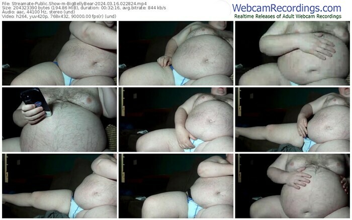 streamate-bigbellybear-03-16-2024-02-28-24