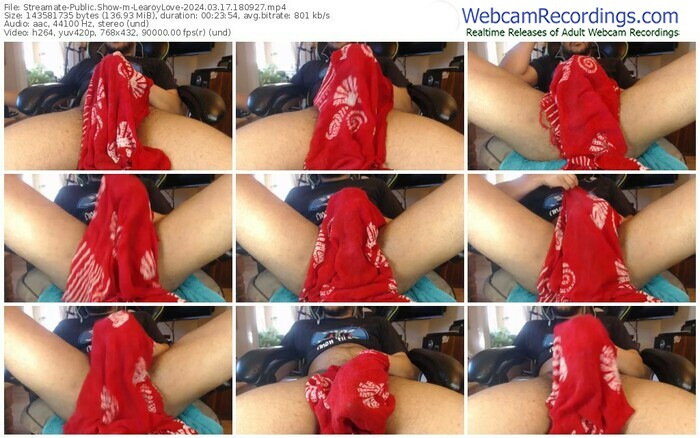 streamate-learoylove-03-17-2024-18-09-27