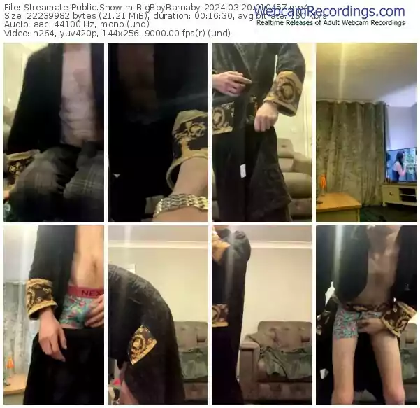 streamate-bigboybarnaby-03-20-2024-01-04-57