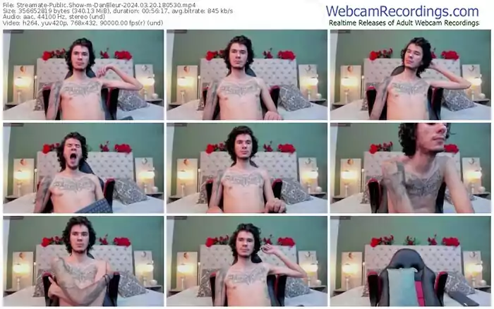 streamate-danbleur-03-20-2024-18-05-30