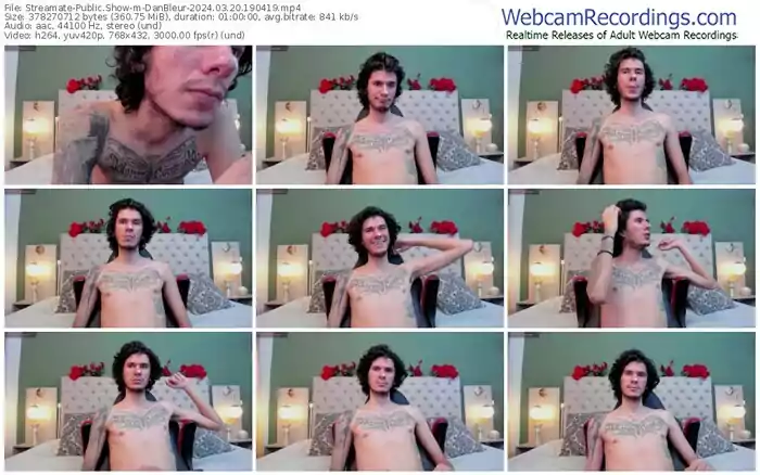 streamate-danbleur-03-20-2024-19-04-19