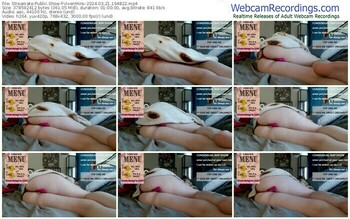 streamate-vixenminx-03-21-2024-16-48-22