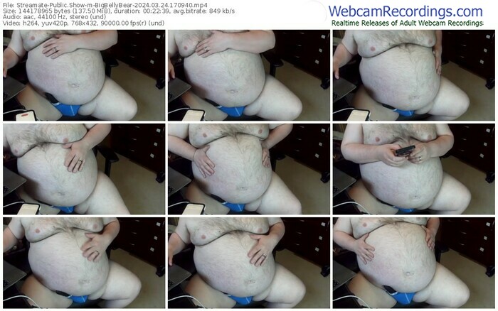 streamate-bigbellybear-03-24-2024-17-09-40