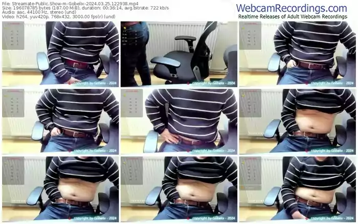 streamate-gobelix-03-25-2024-12-29-38