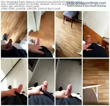 streamate-viciousvicious-03-25-2024-14-37-21