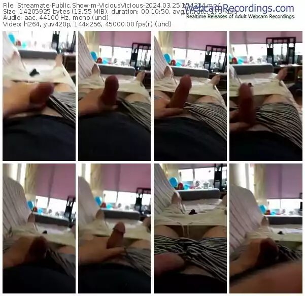 streamate-viciousvicious-03-25-2024-15-43-24