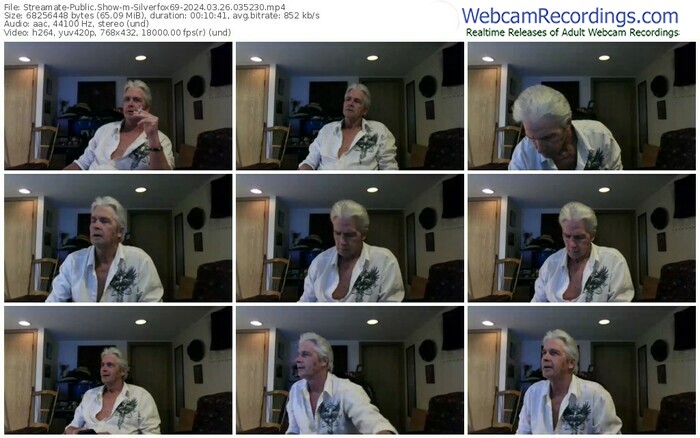 streamate-silverfox69-03-26-2024-03-52-30