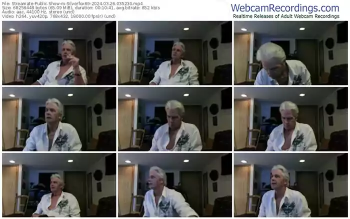 streamate-silverfox69-03-26-2024-03-52-30