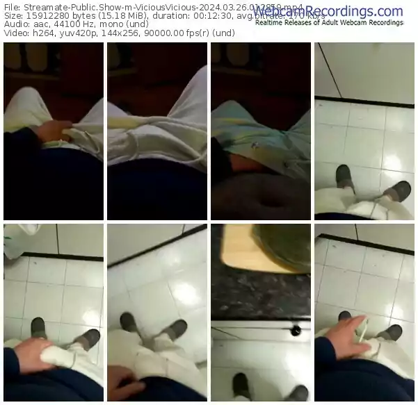 streamate-viciousvicious-03-26-2024-01-28-59