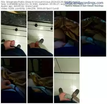 streamate-viciousvicious-03-26-2024-01-43-02