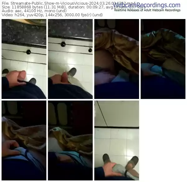 streamate-viciousvicious-03-26-2024-01-43-02