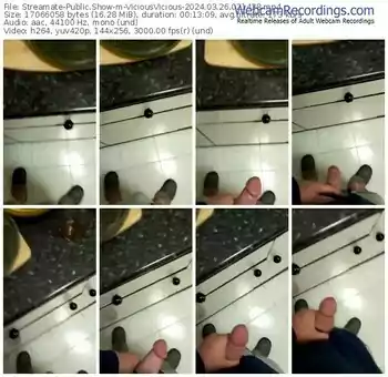 streamate-viciousvicious-03-26-2024-02-14-38