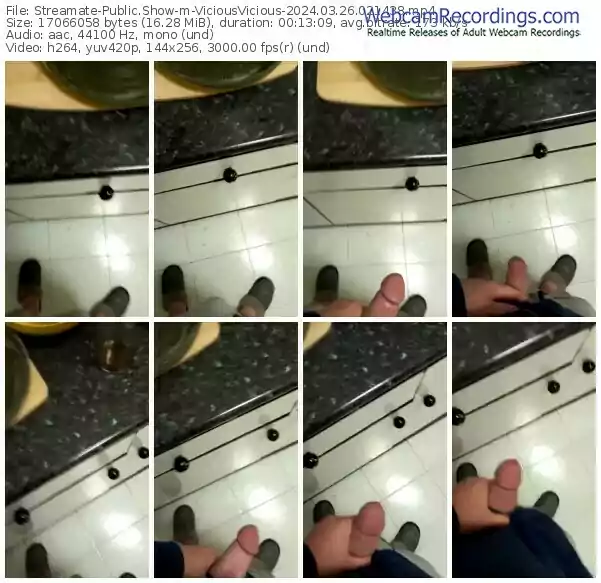 streamate-viciousvicious-03-26-2024-02-14-38