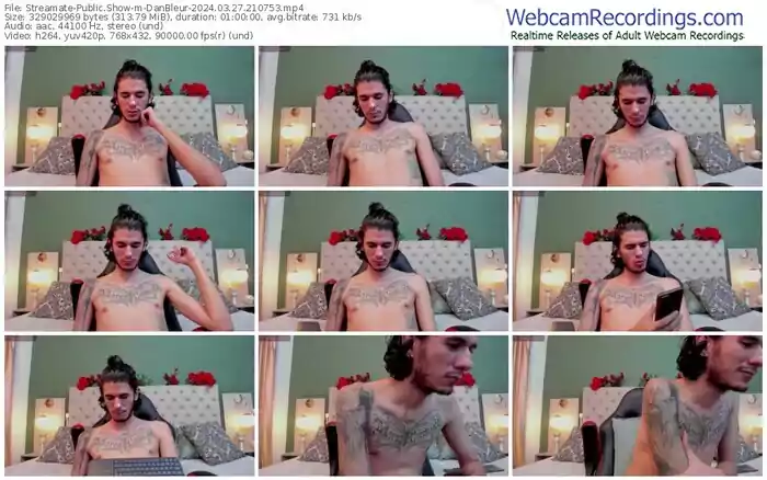 streamate-danbleur-03-27-2024-21-07-53