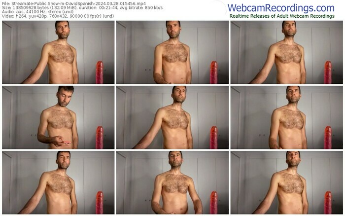 streamate-davidspanish-03-28-2024-01-54-56