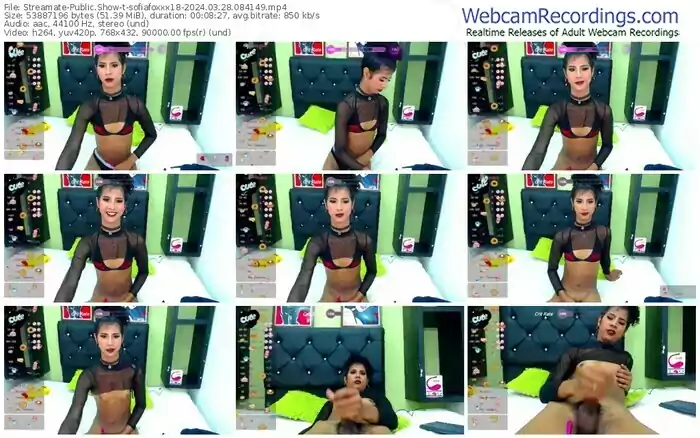 streamate-sofiafoxxx18-03-28-2024-08-41-49