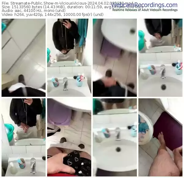 streamate-viciousvicious-04-02-2024-09-59-28