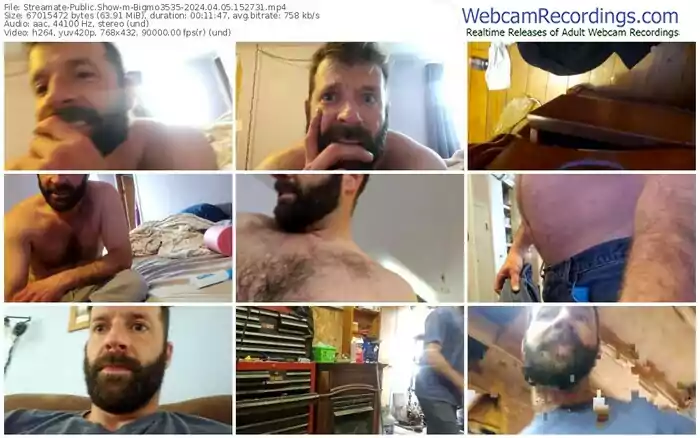 streamate-bigmo3535-04-05-2024-15-27-31