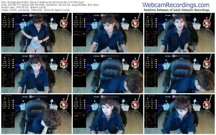 streamate-wallacee-04-06-2024-17-37-59