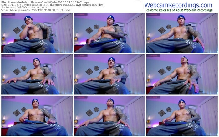 streamate-davidwade-04-10-2024-14-30-01