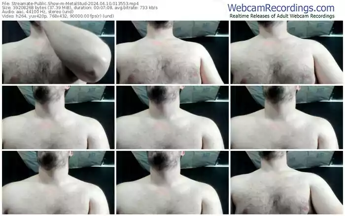 streamate-metalstud-04-10-2024-01-35-53