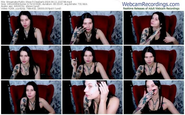 streamate-cleadark-04-11-2024-21-07-48