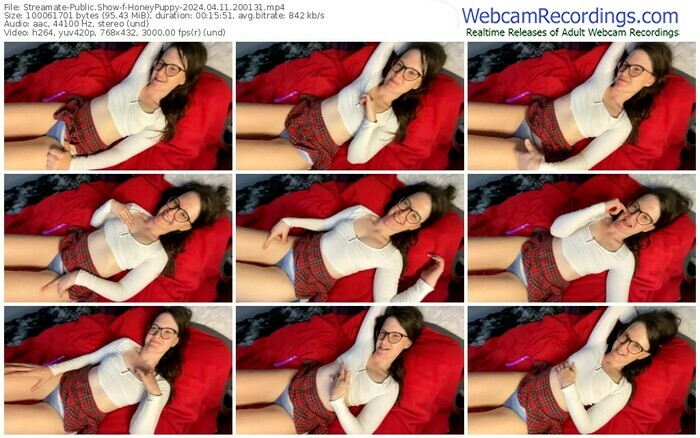streamate-honeypuppy-04-11-2024-20-01-31