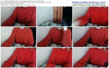 streamate-lilydreamy-04-11-2024-14-18-55