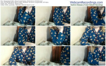 streamate-lilydreamy-04-11-2024-19-44-29