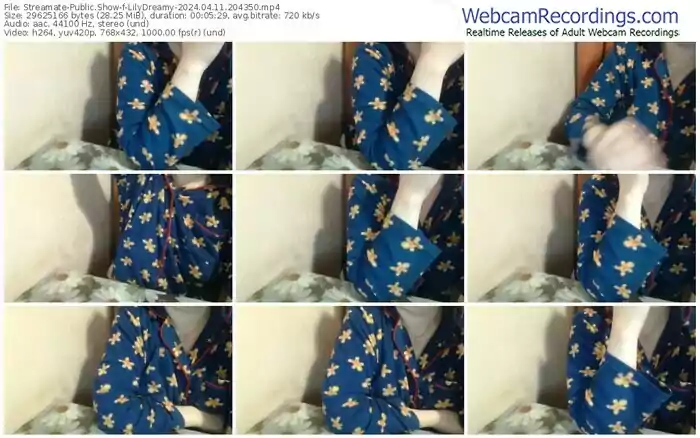 streamate-lilydreamy-04-11-2024-20-43-50