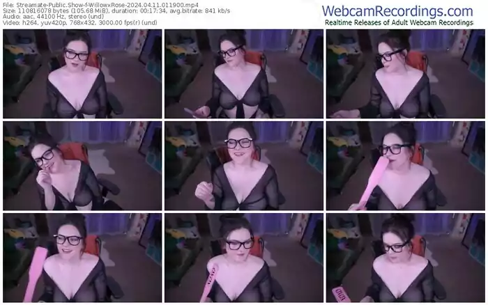streamate-willowxrose-04-11-2024-01-19-00