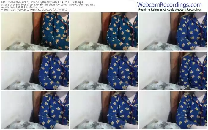 streamate-lilydreamy-04-12-2024-17-06-08