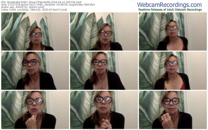 streamate-pamelase-04-12-2024-20-15-36