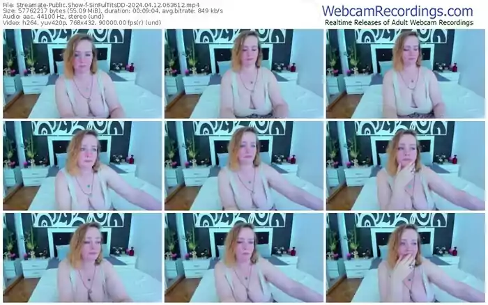 streamate-sinfultitsdd-04-12-2024-06-36-12