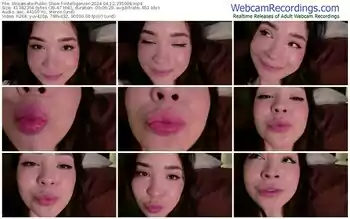 streamate-intelligencer-04-12-2024-23-50-08